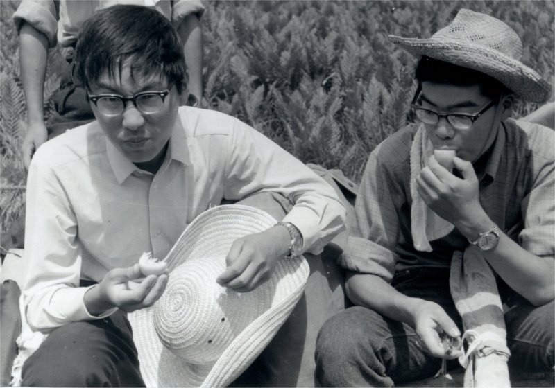 1969尾瀬ヶ原採集写真